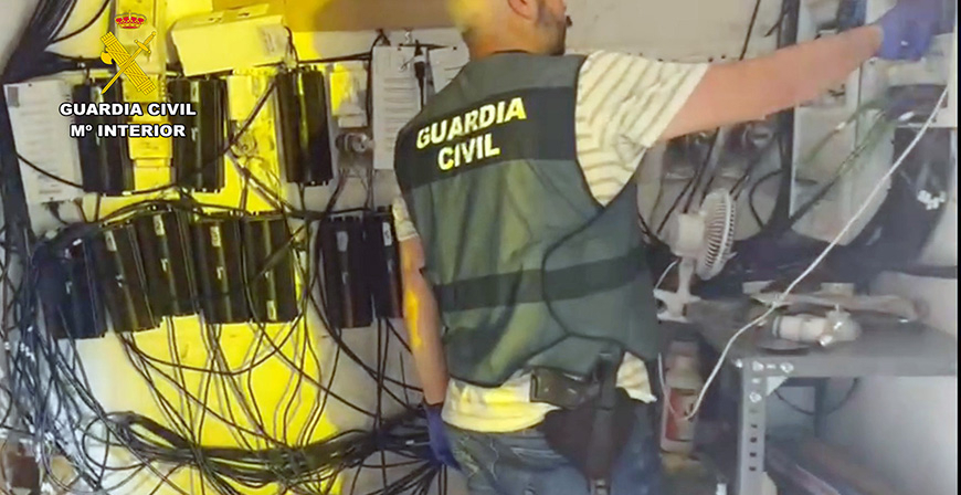 Desmantaleada una plantacin de marihuana en Riotuerto con 1.500 plantas y otra en Guriezo con 400