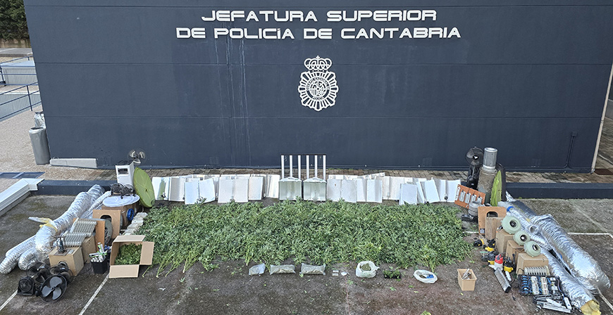 Desmantelada una plantacin 'indoor' con 290 plantas de marihuana