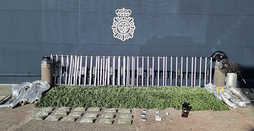 Desmantelada una plantacin indoor de marihuana con 250 plantas