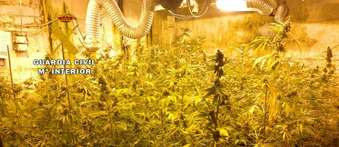 Desmantelada una plantacin 'indoor' de marihuana en Boo de Pilagos
