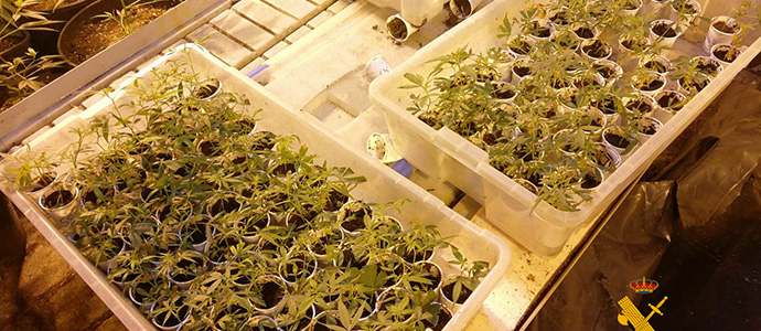 Desmantelada una plantacin 'indoor' de marihuana en Boo de Pilagos