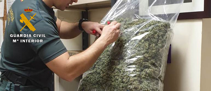 Desmantelada una plantacin con ms de  7,5 kg de marihuana seca 