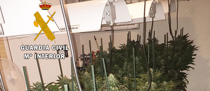 Desmantelado otro cultivo 'indoor' con 42 plantas de marihuana y un peso superior a los ocho kilos de droga