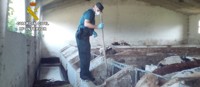 Detenido el presunto autor de maltrato y abandono de animales en Los Corrales de Buelna