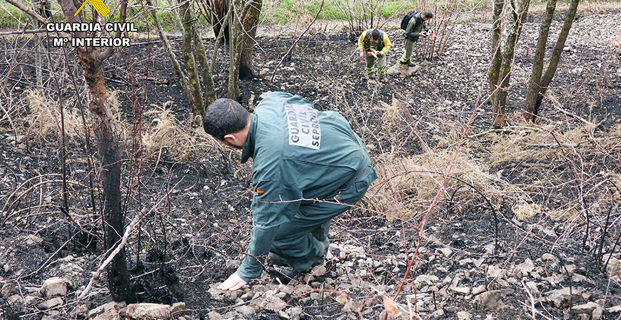 Detenido el presunto autor de 6 incendios forestales en Los Machucos