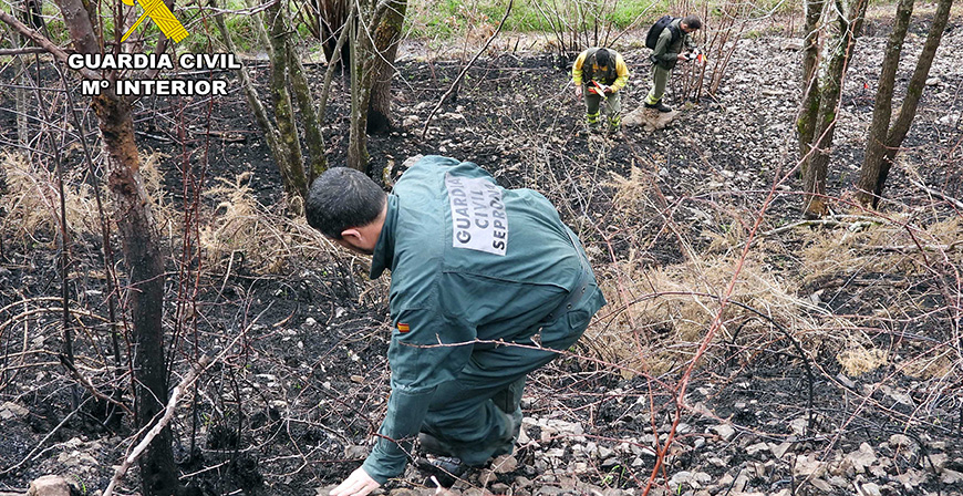 Detenido un joven de 20 aos como autor de un incendio que afect a 200 hectreas de monte en Vega de Pas
