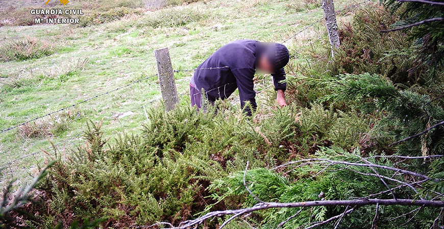Detenido un vecino de Valdeolea por la presunta colocacin de cepos y lazos para capturar animales