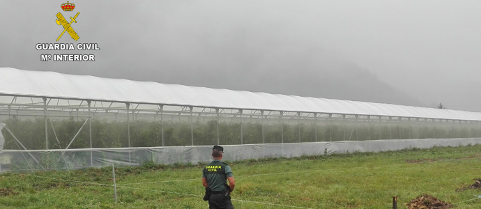 Detienen a los presuntos autores de un delito de robo con fuerza en invernaderos de Ruente