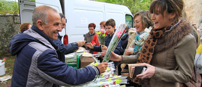 Devocin y rosas en Montesclaros