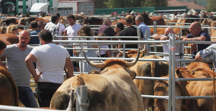 Da de feria en Campoo de Yuso