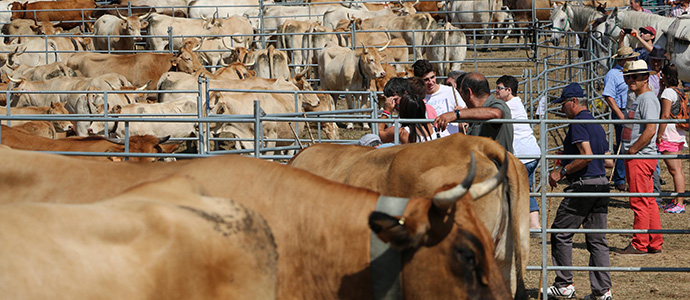 Da de feria de Espinilla 