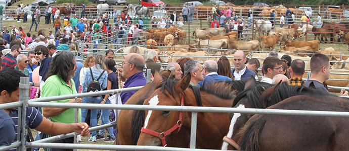 Da de feria en Espinilla