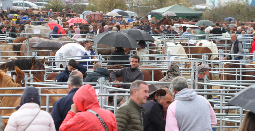 Da de feria en Reinosa