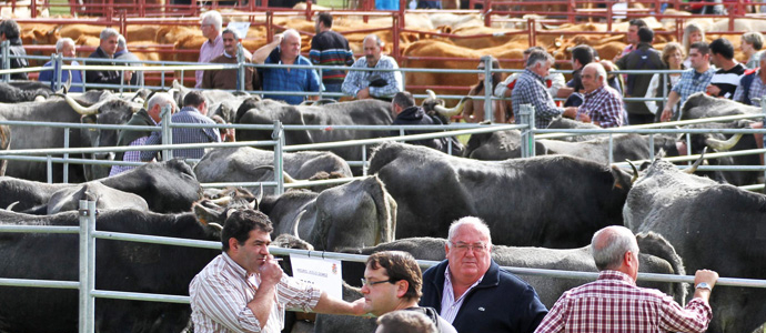 Da de feria en Requejo