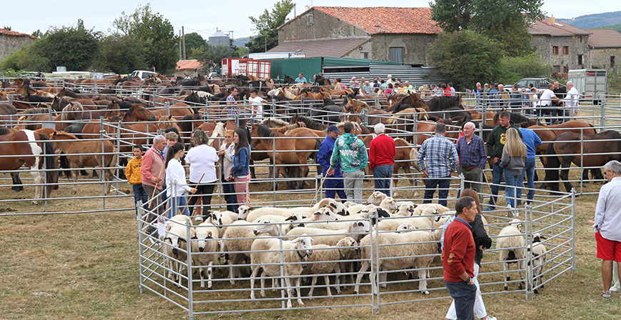 Da de feria en Villasuso