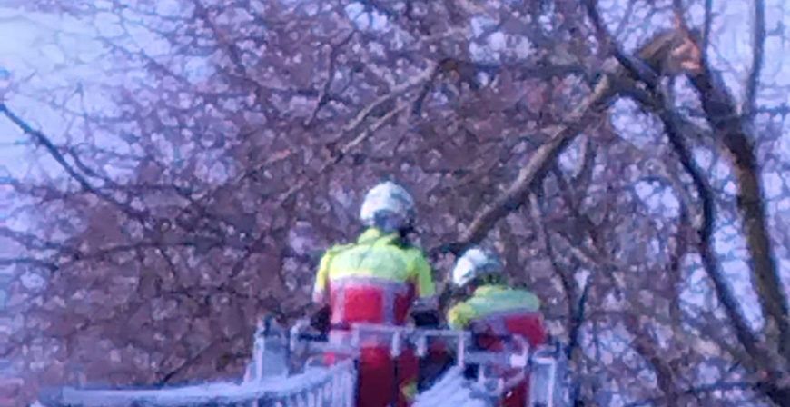 Da intenso para los bomberos en Campoo