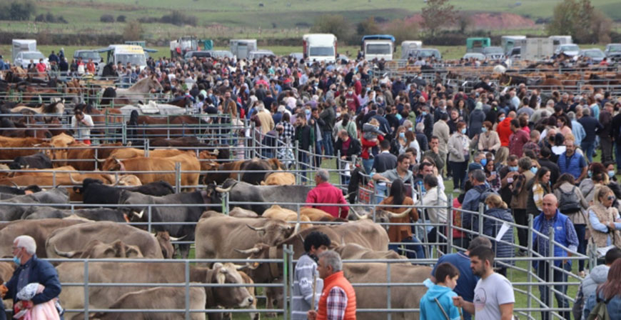 Domingo de feria en Campoo de Enmedio