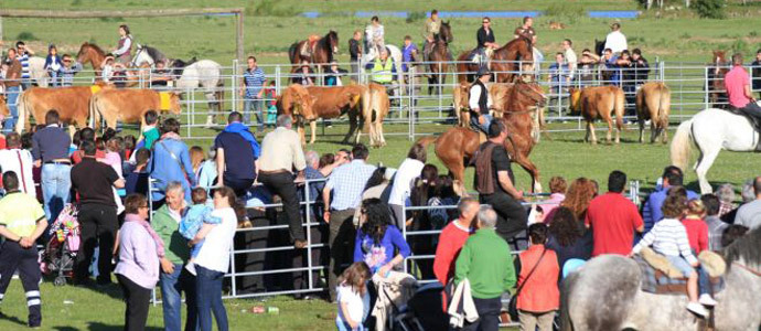 Este domingo, XXV Feria de ao en Requejo