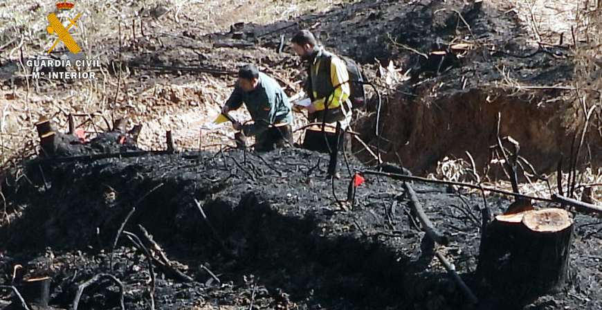 Dos investigados por sendos incendios que provocaron la quema de ms de 20 hectreas