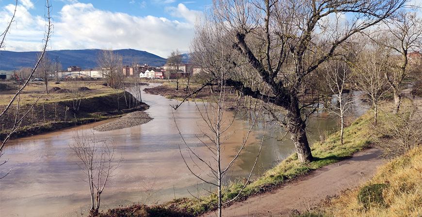 Los dragados y la retirada de vegetacin para reducir el riesgo de inundacin, a debate en una jornada virtual de la Estrategia Ebro Resilience