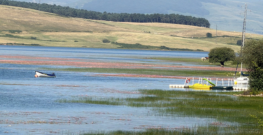 El Embalse del Ebro afronta el verano al 85% de su capacidad