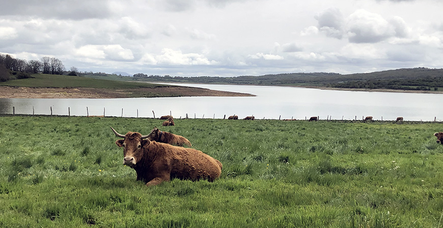 El Embalse supera el 43% de su capacidad