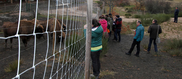 Emprendedores del territorio de Pas Romnico visitarn Francia en abril