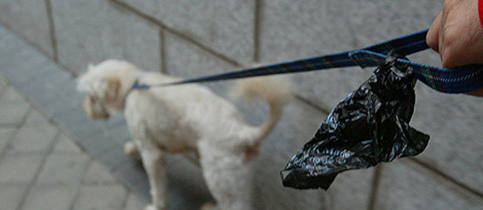 Enmedio lanza una campaa de concienciacin para la retirada de excrementos caninos