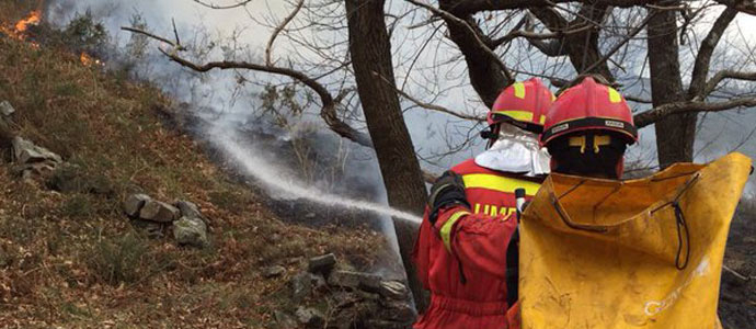 Espaa destinar 250.000 euros a reforestar las zonas quemadas de Cantabria 
