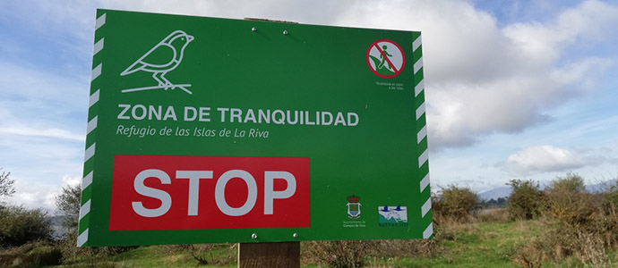 Una esptula radiomarcada en los Pases Bajos reside estos das en el Pantano del Ebro