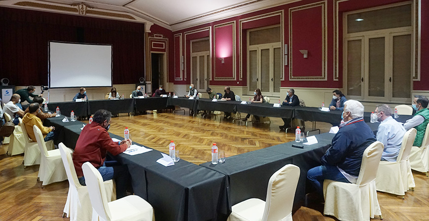 La eurodiputada de Unidas Podemos Sira Rego reclama mejoras en el estatuto de las electrointensivas 
