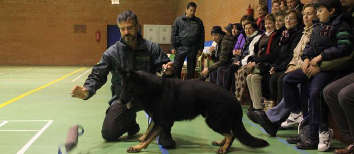 Exhibicin de la Guardia Civil en Matamorosa