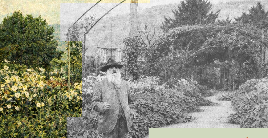 '�xtasis vegetal', la exposici�n colectiva de Chelo Matesanz, Anadeli Guti�rrez, Blanca Fern�ndez, Carmen Higuera y V�ctor Fern�ndez, llega a La Tienda