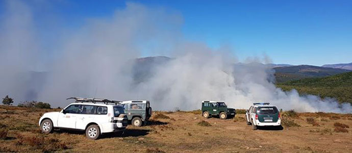 Extinguen un incendio forestal en Aldea de Ebro