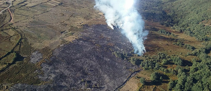 Extinguen un incendio forestal en Aldea de Ebro