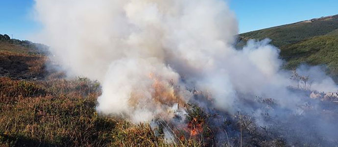 Extinguen un incendio forestal en Aldea de Ebro