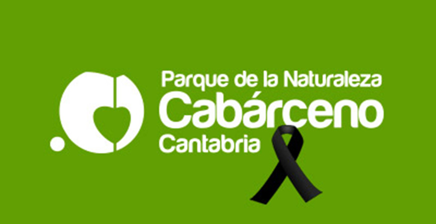 Fallece un trabajador de Cabrceno tras ser golpeado por un elefante