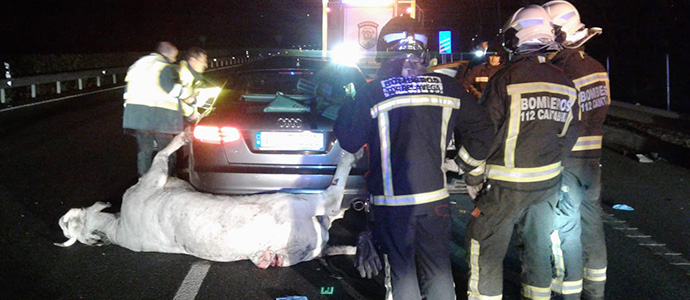 Un fallecido y un herido tras impactar su coche contra una vaca en la A-8  en Quijas