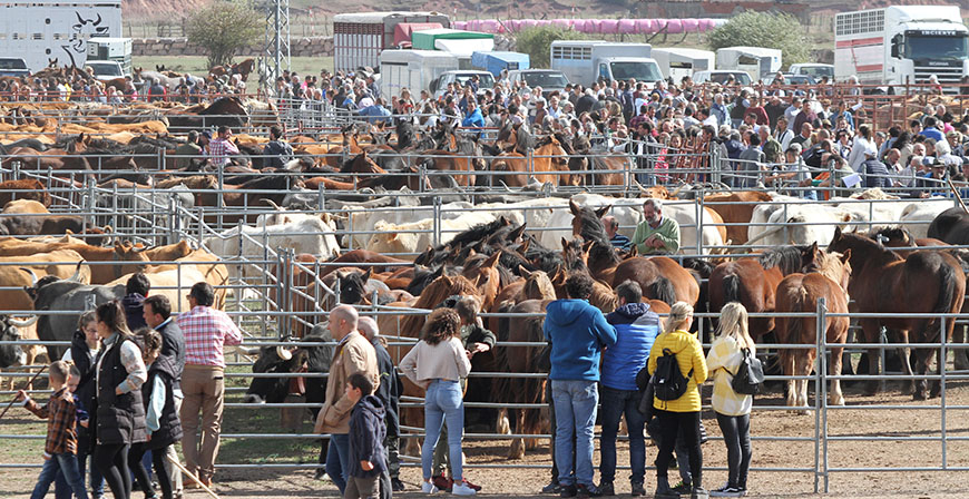 La Feria de Ao de Campoo de Enmedio rene a unas 3.000 cabezas de ganado