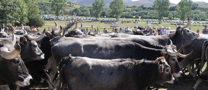 Feria en Espinilla