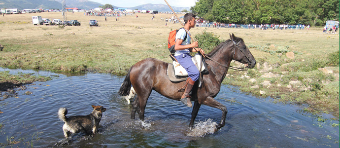 Feria y fiestas de Nuestra Seora y San Roque en Espinilla