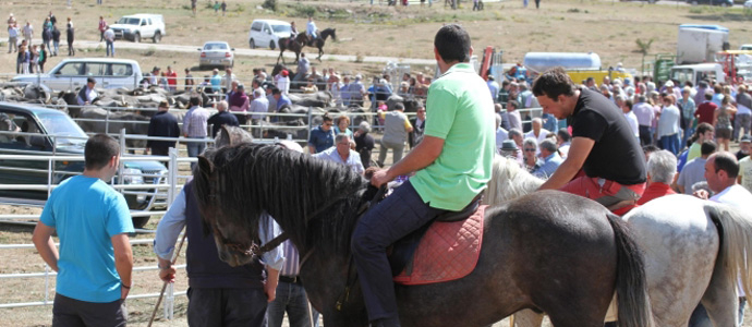 La feria ganadera, protagonista de las fiestas de Espinilla