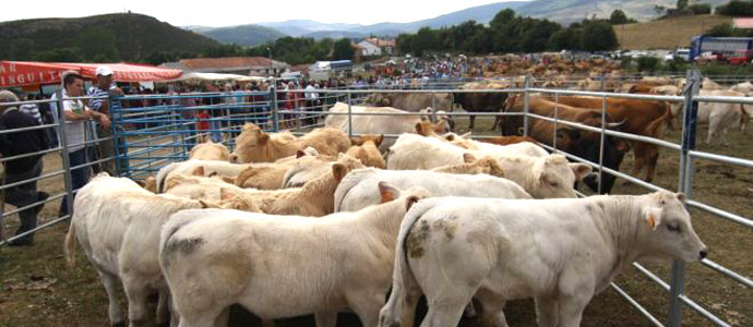 La fiesta llega a Espinilla