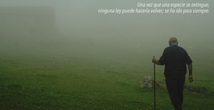 La Filmoteca de Cantabria acoger la presentacin del documental 'Los ltimos pastores, sobre la desaparicin del pastoreo en Picos de Europa por el lobo