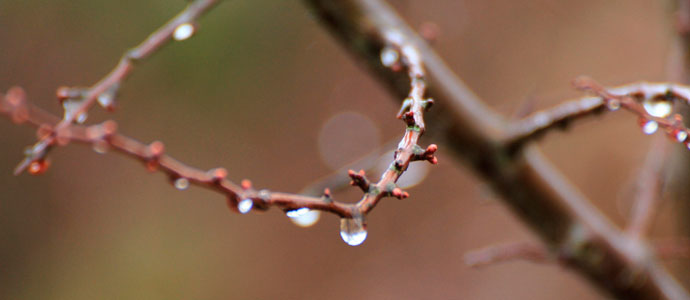 Fin de semana en Campoo con fro, agua y nieve