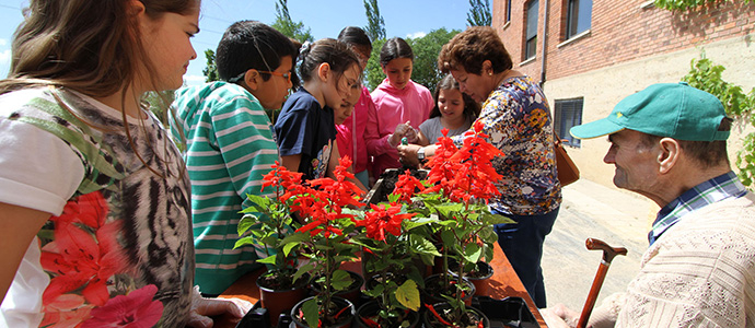 Flores y juegos tradicionales para fomentar la convivencia intergeneracional