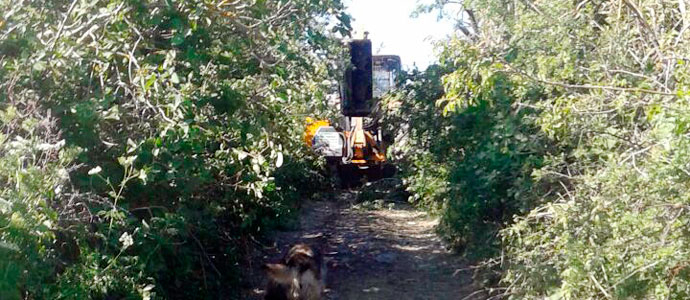 Fontecha concluye el desbroce de 3.000 metros de caminos vecinales
