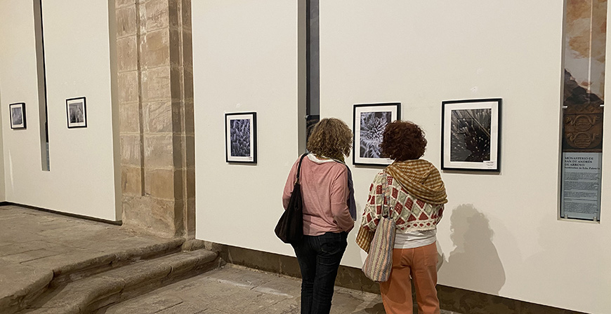'El fro que vino del Norte', la nueva exposicin del Rom de Aguilar de Campoo