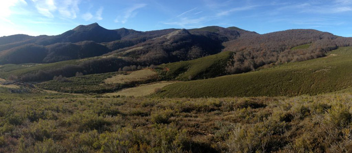 La Fundacin Oso Pardo se personar en el caso del oso disparado en una cacera de jabal en Palencia