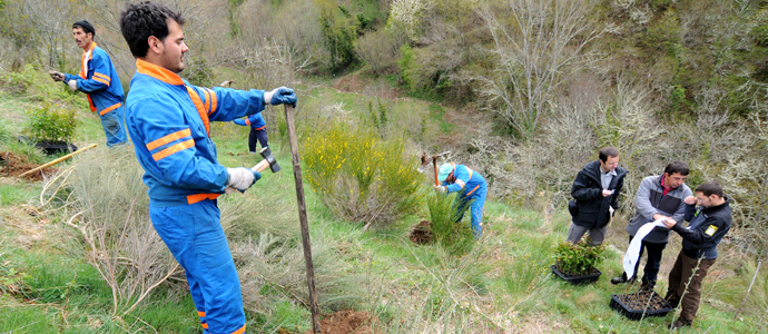 La Fundacin Oso Pardo supera los 100.000 rboles plantados